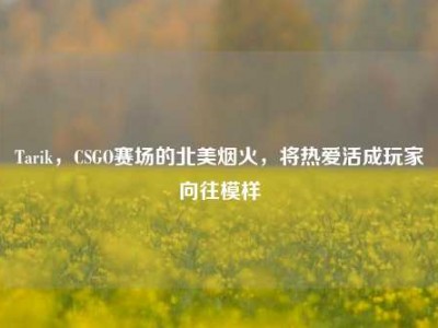Tarik，CSGO赛场的北美烟火，将热爱活成玩家向往模样