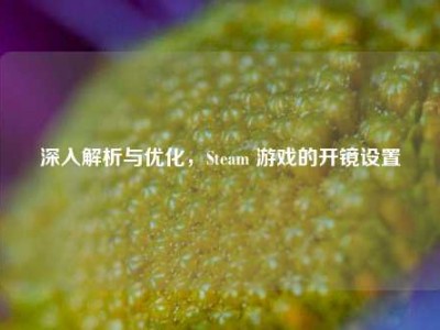 深入解析与优化，Steam 游戏的开镜设置