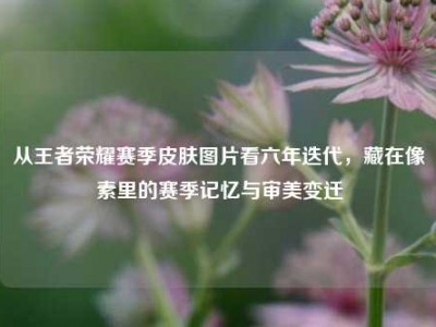 从王者荣耀赛季皮肤图片看六年迭代，藏在像素里的赛季记忆与审美变迁
