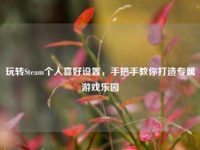 玩转Steam个人喜好设置，手把手教你打造专属游戏乐园