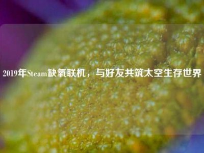 2019年Steam缺氧联机，与好友共筑太空生存世界
