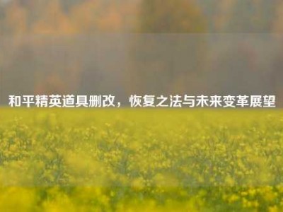 和平精英道具删改，恢复之法与未来变革展望