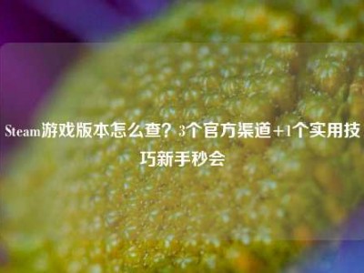 Steam游戏版本怎么查？3个官方渠道+1个实用技巧新手秒会