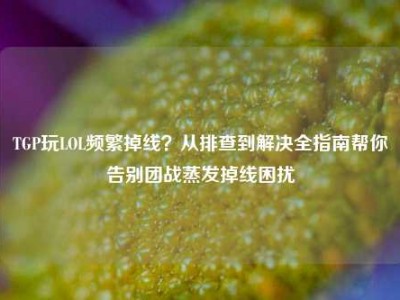 TGP玩LOL频繁掉线？从排查到解决全指南帮你告别团战蒸发掉线困扰