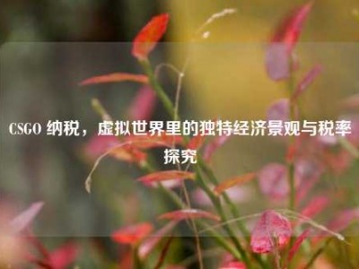 CSGO 纳税，虚拟世界里的独特经济景观与税率探究