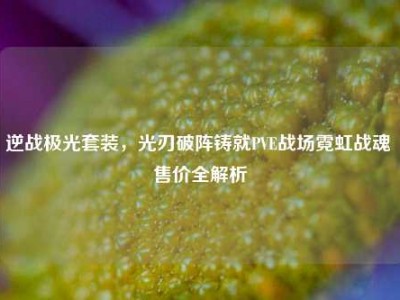 逆战极光套装，光刃破阵铸就PVE战场霓虹战魂 售价全解析