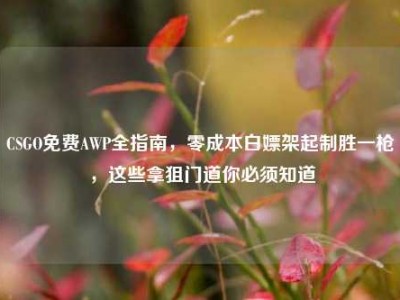 CSGO免费AWP全指南，零成本白嫖架起制胜一枪，这些拿狙门道你必须知道