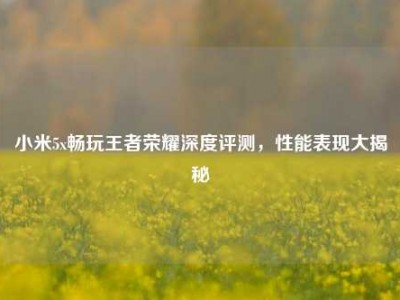 小米5x畅玩王者荣耀深度评测，性能表现大揭秘