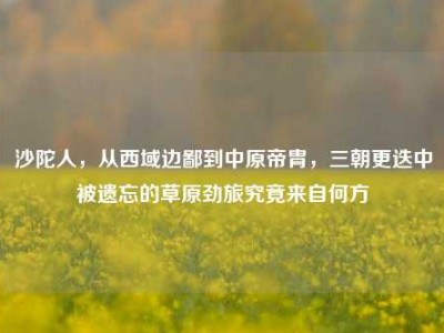 沙陀人，从西域边鄙到中原帝胄，三朝更迭中被遗忘的草原劲旅究竟来自何方