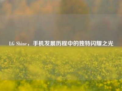 LG Shine，手机发展历程中的独特闪耀之光