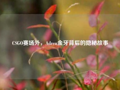 CSGO赛场外，Adren金牙背后的隐秘故事