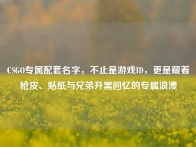 CSGO专属配套名字，不止是游戏ID，更是藏着枪皮、贴纸与兄弟开黑回忆的专属浪漫