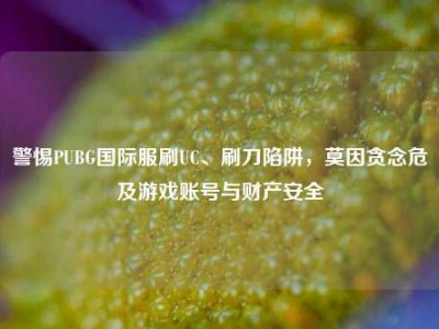 警惕PUBG国际服刷UC、刷刀陷阱，莫因贪念危及游戏账号与财产安全