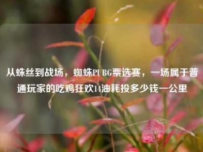 从蛛丝到战场，蜘蛛PUBG票选赛，一场属于普通玩家的吃鸡狂欢14油耗投多少钱一公里