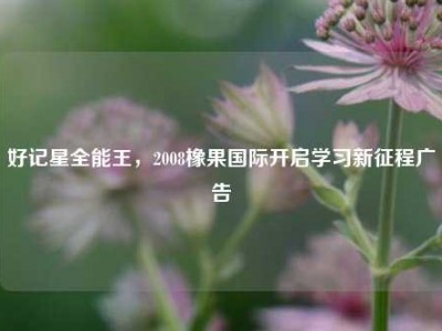 好记星全能王，2008橡果国际开启学习新征程广告