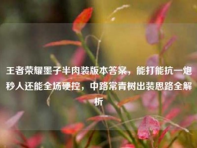 王者荣耀墨子半肉装版本答案，能打能抗一炮秒人还能全场硬控，中路常青树出装思路全解析