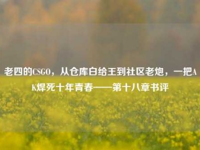 老四的CSGO，从仓库白给王到社区老炮，一把AK焊死十年青春——第十八章书评