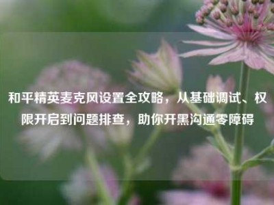 和平精英麦克风设置全攻略，从基础调试、权限开启到问题排查，助你开黑沟通零障碍