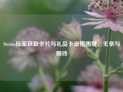 Steam玩家获取卡片与礼品卡资格困境，无奈与期待