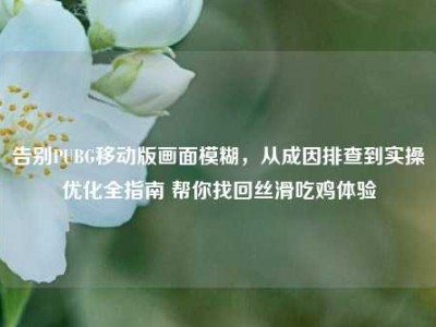 告别PUBG移动版画面模糊，从成因排查到实操优化全指南 帮你找回丝滑吃鸡体验