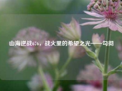 山海逆战676，战火里的希望之光——勾彻