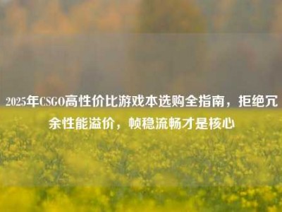 2025年CSGO高性价比游戏本选购全指南，拒绝冗余性能溢价，帧稳流畅才是核心