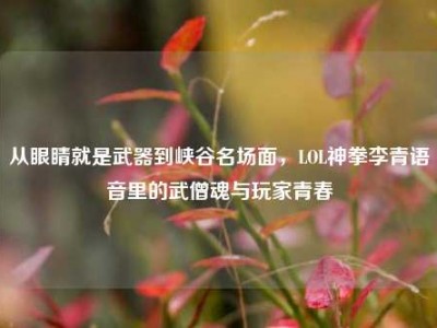 从眼睛就是武器到峡谷名场面，LOL神拳李青语音里的武僧魂与玩家青春