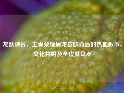 龙跃峡谷，王者荣耀屠龙皮肤背后的热血叙事、文化共鸣及全皮肤盘点
