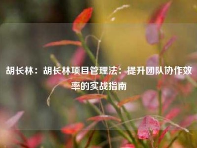 胡长林：胡长林项目管理法：提升团队协作效率的实战指南