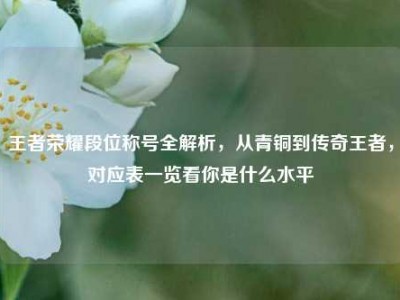 王者荣耀段位称号全解析，从青铜到传奇王者，对应表一览看你是什么水平