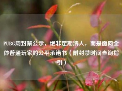 PUBG周封禁公示，绝非定期清人，而是面向全体普通玩家的公平承诺书（附封禁时间查询指引）