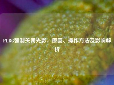 PUBG强制关闭光影，原因、操作方法及影响解析