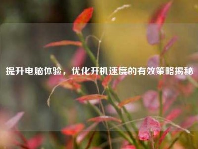 提升电脑体验，优化开机速度的有效策略揭秘