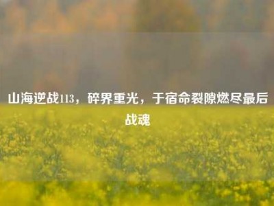 山海逆战113，碎界重光，于宿命裂隙燃尽最后战魂