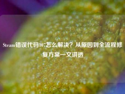 Steam错误代码107怎么解决？从原因到全流程修复方案一文讲透