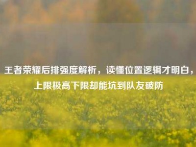 王者荣耀后排强度解析，读懂位置逻辑才明白，上限极高下限却能坑到队友破防