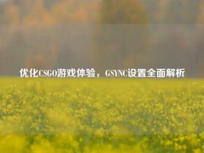 优化CSGO游戏体验，GSYNC设置全面解析