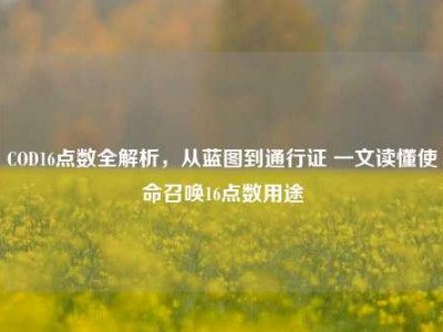 COD16点数全解析，从蓝图到通行证 一文读懂使命召唤16点数用途