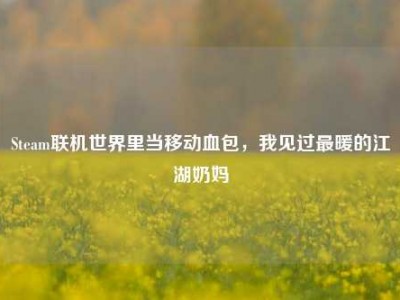 Steam联机世界里当移动血包，我见过最暖的江湖奶妈