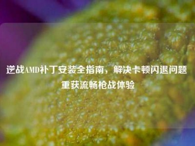 逆战AMD补丁安装全指南，解决卡顿闪退问题 重获流畅枪战体验