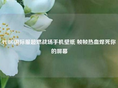 PUBG国际服超燃战场手机壁纸 帧帧热血焊死你的屏幕