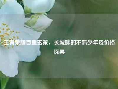 王者荣耀百里玄策，长城畔的不羁少年及价格探寻