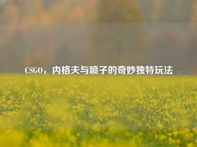 CSGO，内格夫与喷子的奇妙独特玩法