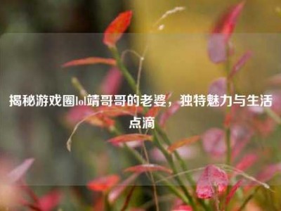 揭秘游戏圈lol靖哥哥的老婆，独特魅力与生活点滴