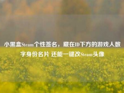 小黑盒Steam个性签名，藏在ID下方的游戏人数字身份名片 还能一键改Steam头像