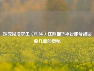探究绝地求生（PUBG）在熊猫TV平台账号被回收几率的奥秘
