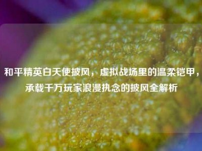 和平精英白天使披风，虚拟战场里的温柔铠甲，承载千万玩家浪漫执念的披风全解析