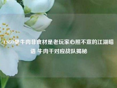 CSGO里牛肉非食材是老玩家心照不宣的江湖暗语 牛肉干对应战队揭秘