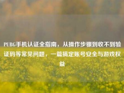 PUBG手机认证全指南，从操作步骤到收不到验证码等常见问题，一篇搞定账号安全与游戏权益