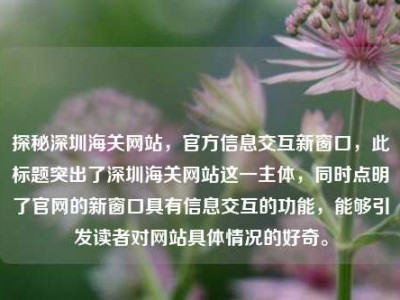 探秘深圳海关网站，官方信息交互新窗口，此标题突出了深圳海关网站这一主体，同时点明了官网的新窗口具有信息交互的功能，能够引发读者对网站具体情况的好奇。